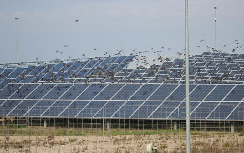 Заеми от 111 милиона долара обмисля ЕБРД за соларни проекти в Казахстан