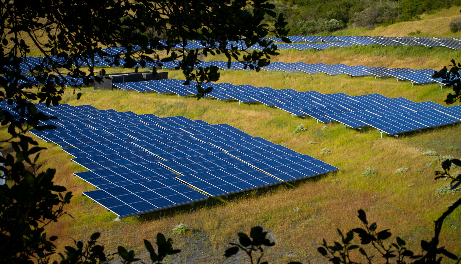 Осигурени са средства за 55 МВт соларни проекти на ReneSola в Полша